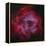 The Rosette Nebula-null-Framed Premier Image Canvas