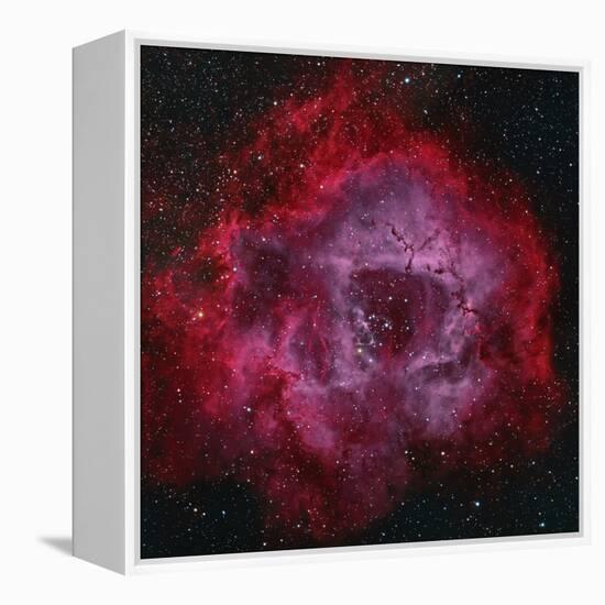 The Rosette Nebula-null-Framed Premier Image Canvas