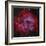 The Rosette Nebula-null-Framed Photographic Print