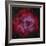 The Rosette Nebula-null-Framed Photographic Print