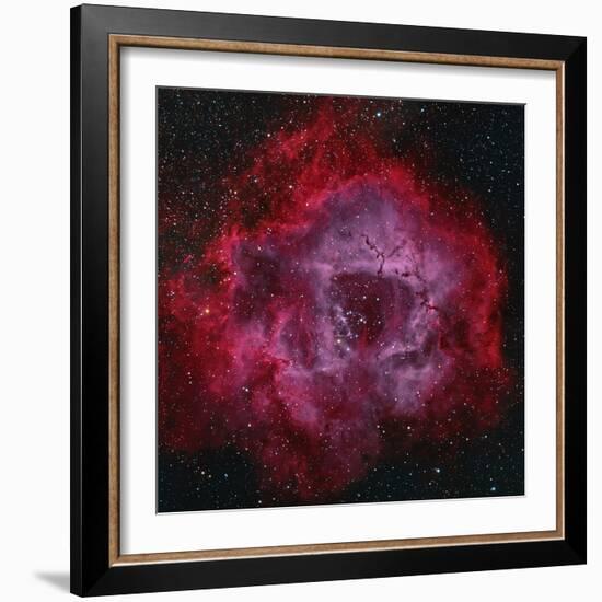 The Rosette Nebula-null-Framed Photographic Print