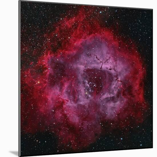 The Rosette Nebula-null-Mounted Photographic Print