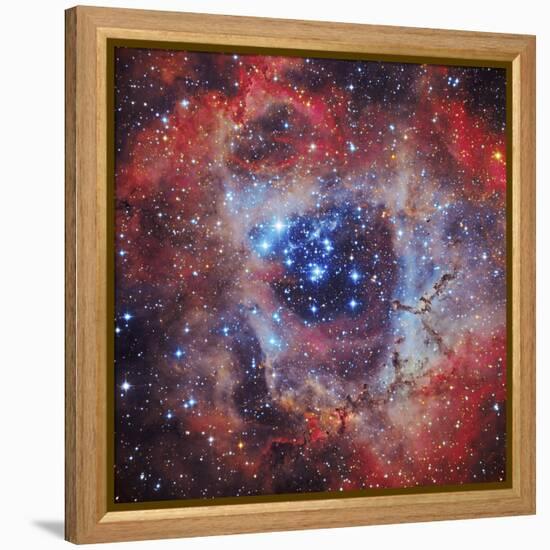 The Rosette Nebula-null-Framed Premier Image Canvas