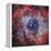 The Rosette Nebula-null-Framed Premier Image Canvas