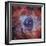 The Rosette Nebula-null-Framed Photographic Print