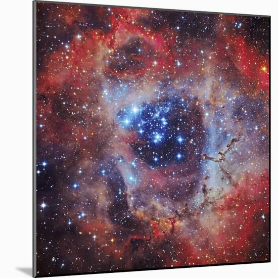 The Rosette Nebula-null-Mounted Photographic Print