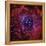 The Rosette Nebula-Stocktrek Images-Framed Stretched Canvas