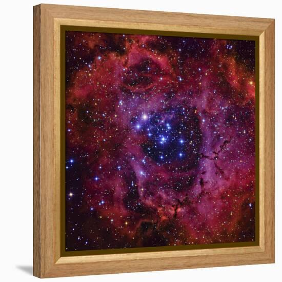 The Rosette Nebula-Stocktrek Images-Framed Stretched Canvas