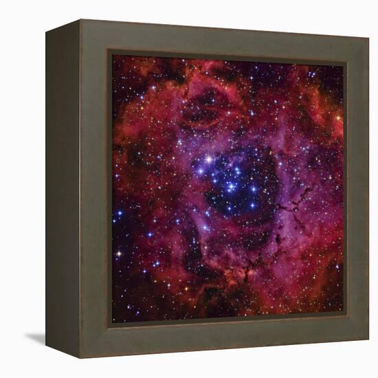 The Rosette Nebula-Stocktrek Images-Framed Stretched Canvas