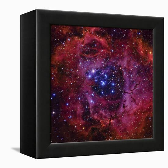The Rosette Nebula-Stocktrek Images-Framed Stretched Canvas