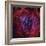 The Rosette Nebula-Stocktrek Images-Framed Photographic Print