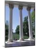 The Rotunda Designed by Thomas Jefferson, University of Virginia, Virginia, USA-Alison Wright-Mounted Photographic Print