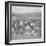 The Rough and Ready of New York, USA, 1888-BW Kilburn-Framed Photographic Print