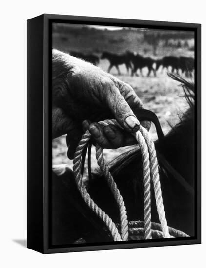 The Rough, Weathered Hand of an Oldtime Cowboy, Holding Rope-John Loengard-Framed Premier Image Canvas