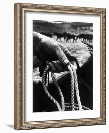 The Rough, Weathered Hand of an Oldtime Cowboy, Holding Rope-John Loengard-Framed Photographic Print