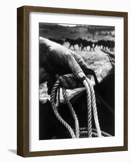 The Rough, Weathered Hand of an Oldtime Cowboy, Holding Rope-John Loengard-Framed Photographic Print