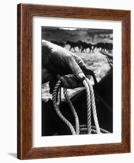 The Rough, Weathered Hand of an Oldtime Cowboy, Holding Rope-John Loengard-Framed Photographic Print