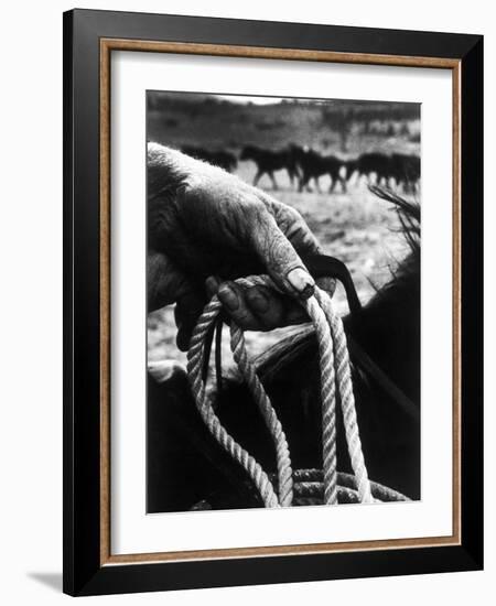 The Rough, Weathered Hand of an Oldtime Cowboy, Holding Rope-John Loengard-Framed Photographic Print