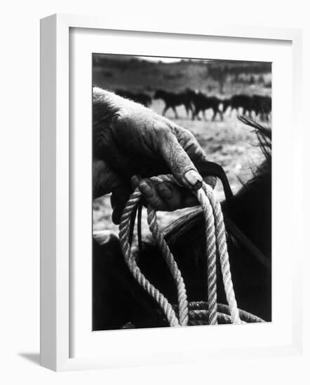 The Rough, Weathered Hand of an Oldtime Cowboy, Holding Rope-John Loengard-Framed Photographic Print