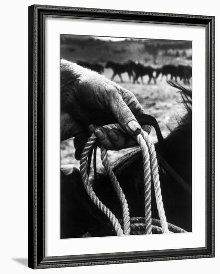 The Rough, Weathered Hand of an Oldtime Cowboy, Holding Rope-John Loengard-Framed Photographic Print