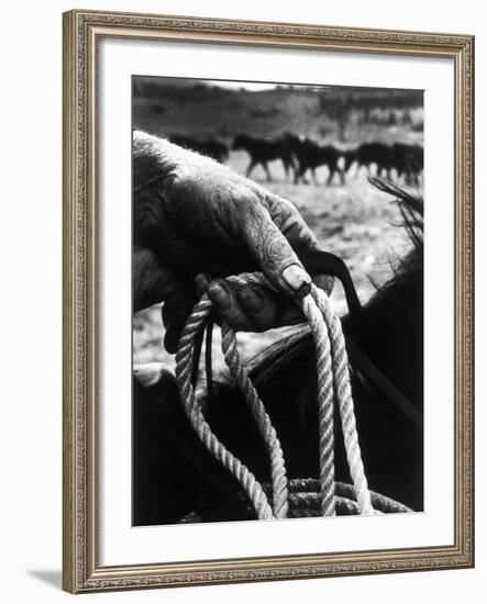 The Rough, Weathered Hand of an Oldtime Cowboy, Holding Rope-John Loengard-Framed Photographic Print