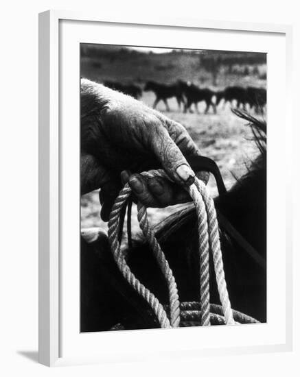 The Rough, Weathered Hand of an Oldtime Cowboy, Holding Rope-John Loengard-Framed Photographic Print