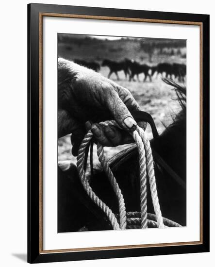 The Rough, Weathered Hand of an Oldtime Cowboy, Holding Rope-John Loengard-Framed Photographic Print