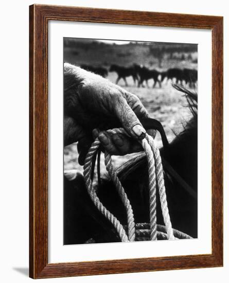 The Rough, Weathered Hand of an Oldtime Cowboy, Holding Rope-John Loengard-Framed Photographic Print