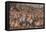 The Rout of the Pisans at Torre San Vincenzo, 1568-1571-Giorgio Vasari-Framed Premier Image Canvas