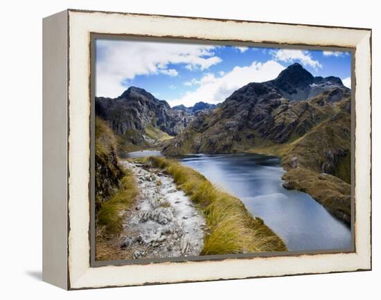 The Routeburn Trak in Mount Aspiring National Park Located in Ne-Sergio Ballivian-Framed Premier Image Canvas