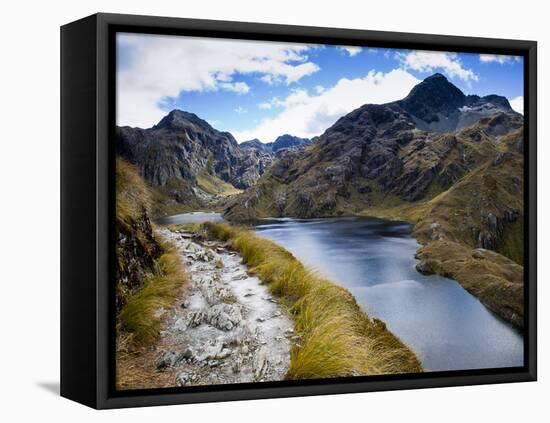 The Routeburn Trak in Mount Aspiring National Park Located in Ne-Sergio Ballivian-Framed Premier Image Canvas