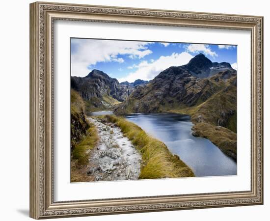 The Routeburn Trak in Mount Aspiring National Park Located in Ne-Sergio Ballivian-Framed Photographic Print