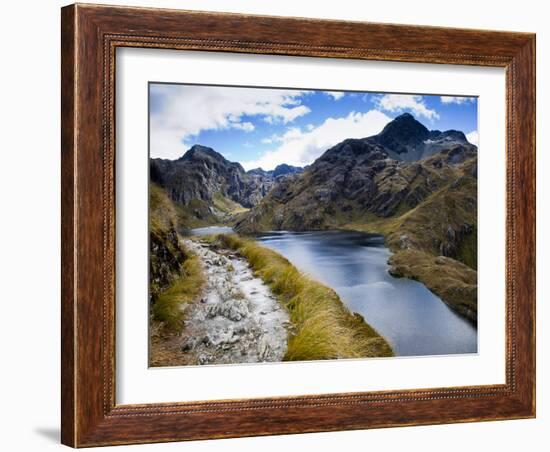 The Routeburn Trak in Mount Aspiring National Park Located in Ne-Sergio Ballivian-Framed Photographic Print