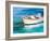 The Row Boat that Could-Jane Slivka-Framed Art Print