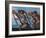 The Rowers-Hans Von Marees-Framed Giclee Print