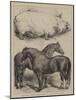 The Royal Agricultural Show at Oxford, Prize Animals-Harrison William Weir-Mounted Giclee Print