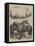 The Royal Agricultural Show at Oxford, Prize Animals-Harrison William Weir-Framed Premier Image Canvas