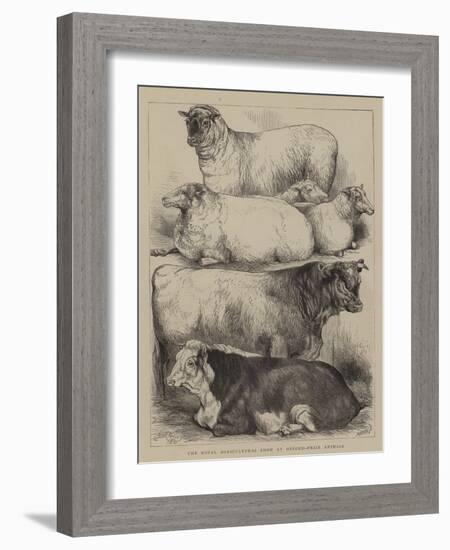 The Royal Agricultural Show at Oxford, Prize Animals-Harrison William Weir-Framed Giclee Print