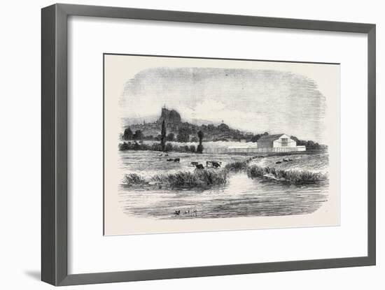 The Royal Agricultural Society of England, Meeting at Lewes: the Cattle Show, from the River, 1852-null-Framed Giclee Print