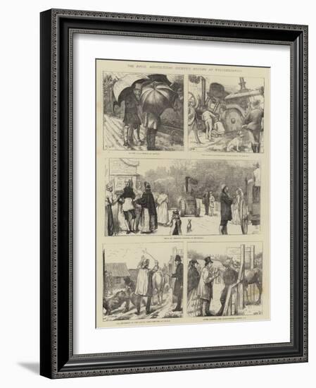 The Royal Agricultural Society's Meeting at Wolverhampton-Edward Frederick Brewtnall-Framed Giclee Print