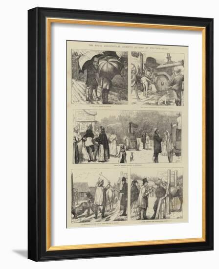 The Royal Agricultural Society's Meeting at Wolverhampton-Edward Frederick Brewtnall-Framed Giclee Print