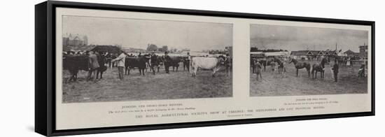 The Royal Agricultural Society's Show at Carlisle, the Sixty-Fourth and Last Provincial Meeting-null-Framed Premier Image Canvas