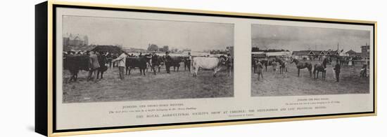 The Royal Agricultural Society's Show at Carlisle, the Sixty-Fourth and Last Provincial Meeting-null-Framed Premier Image Canvas