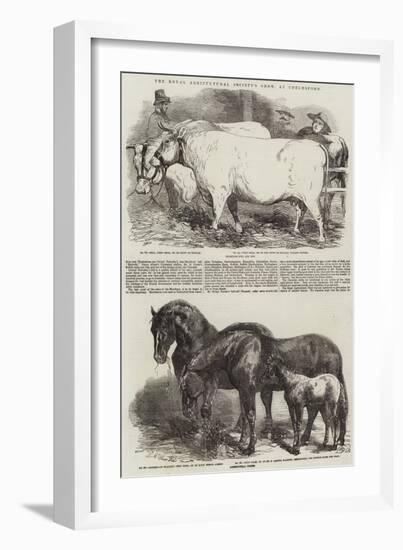 The Royal Agricultural Society's Show, at Chelmsford-Harrison William Weir-Framed Giclee Print