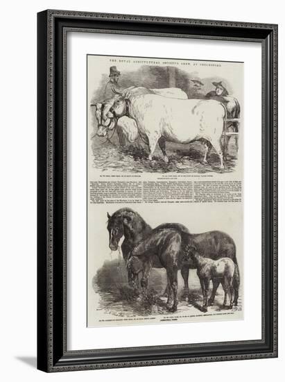 The Royal Agricultural Society's Show, at Chelmsford-Harrison William Weir-Framed Giclee Print