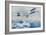 The Royal Air Force to the Rescue in Afghanistan-null-Framed Giclee Print