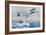 The Royal Air Force to the Rescue in Afghanistan-null-Framed Giclee Print