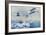 The Royal Air Force to the Rescue in Afghanistan-null-Framed Giclee Print