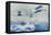 The Royal Air Force to the Rescue in Afghanistan-null-Framed Premier Image Canvas