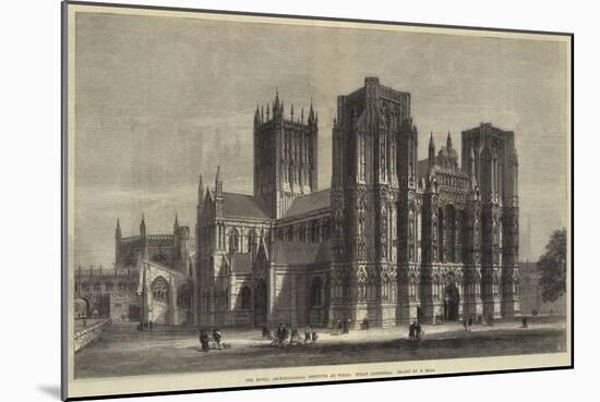 The Royal Archaeological Institute at Wells, Wells Cathedral-Samuel Read-Mounted Giclee Print